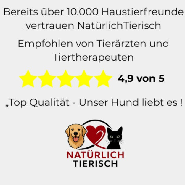 FreshBuddy - Das coole Halsband