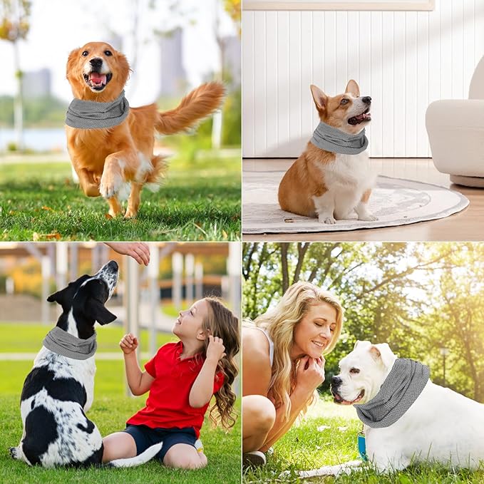 FreshBuddy - Das coole Halsband