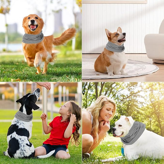 FreshBuddy - Das coole Halsband