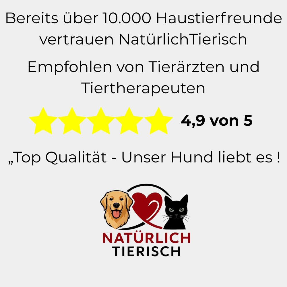 HairHero – Der 2-in-1 Haustier-Felltrockner für stressfreie Fellpflege + gratis E-Book