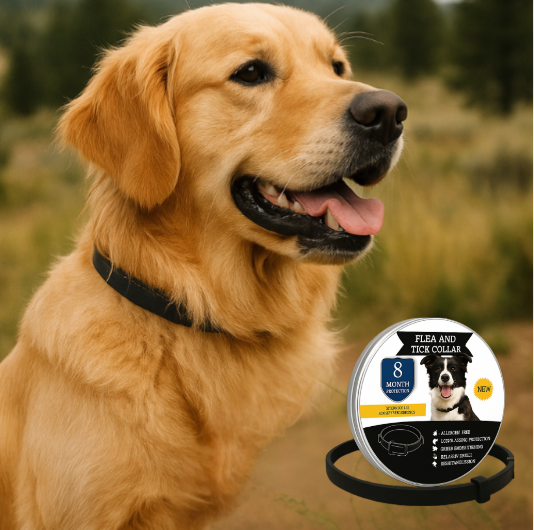 SafeBuddy- Das Anti-Zecken Halsband