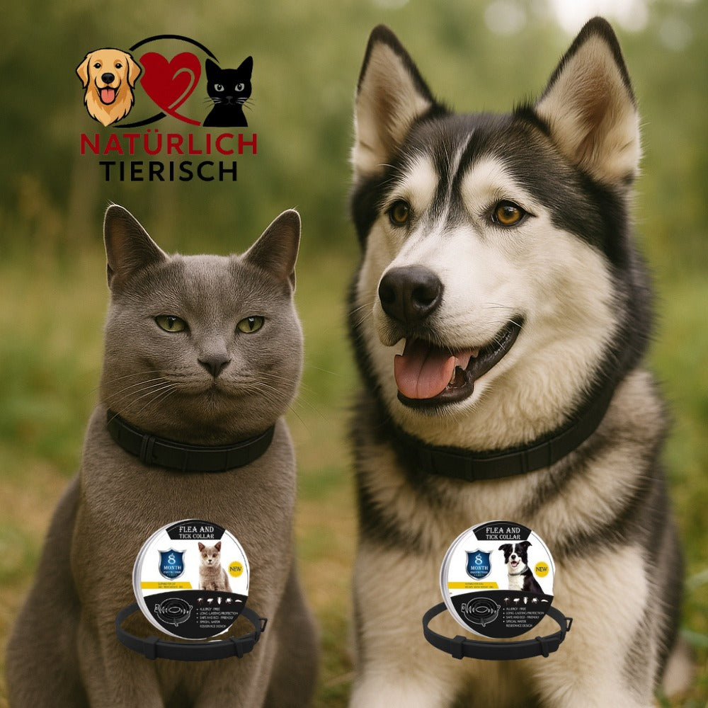 SafeBuddy- Das Anti-Zecken Halsband