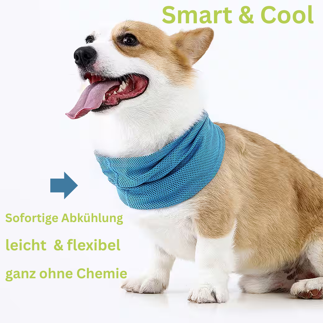 FreshBuddy - Das coole Halsband