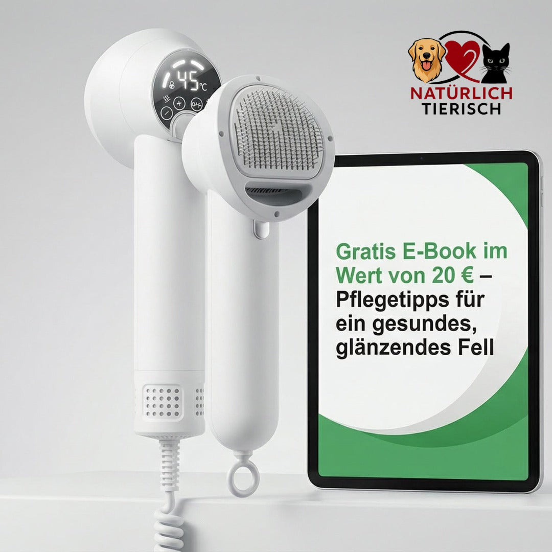 HairHero – Der 2-in-1 Haustier-Felltrockner für stressfreie Fellpflege + gratis E-Book
