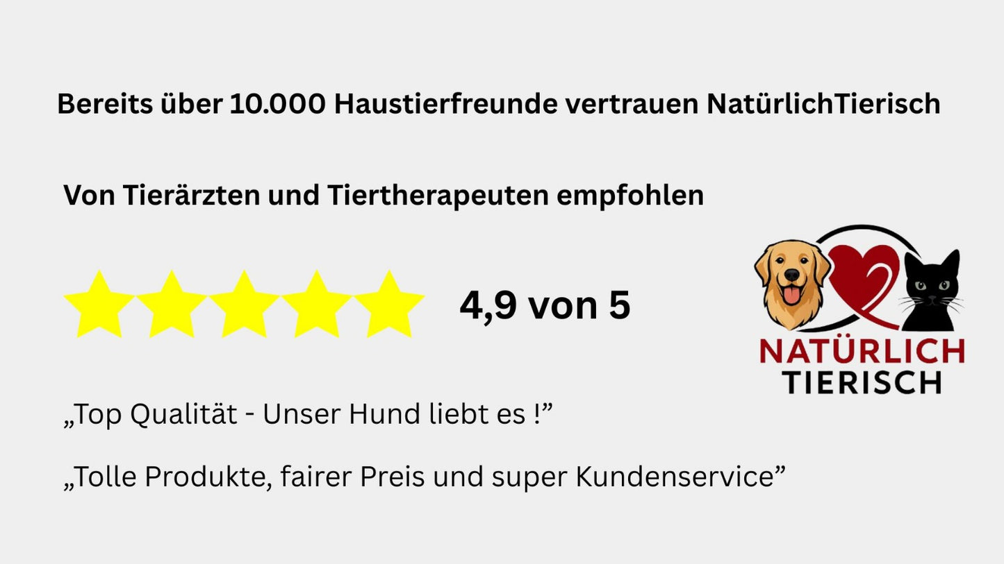 FellBuddy - Der smarte Handschuh