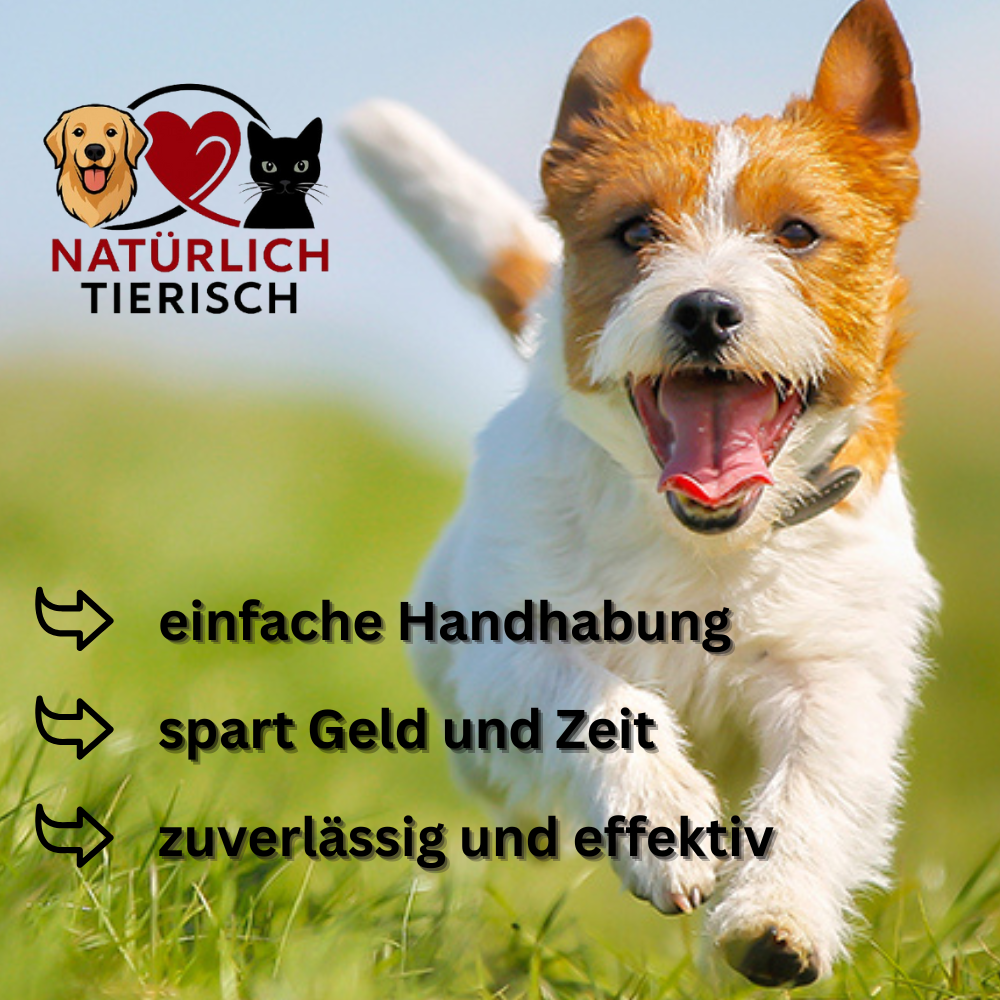 SafeBuddy- Das Anti-Zecken Halsband