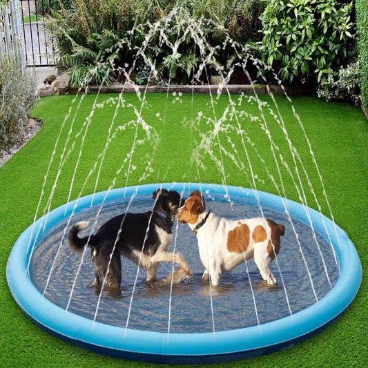 SplashBuddy – Sommer-Spritzspaß für Hunde & Katzen