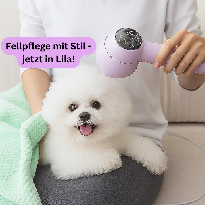 HairHero – Der 2-in-1 Haustier-Felltrockner für stressfreie Fellpflege + gratis E-Book