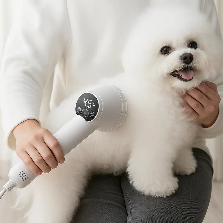 HairHero – Der 2-in-1 Haustier-Felltrockner für stressfreie Fellpflege + gratis E-Book