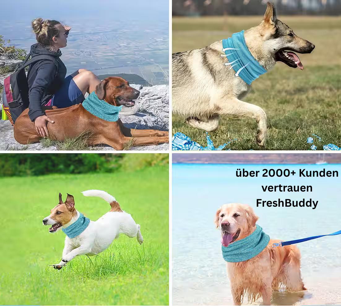 FreshBuddy - Das coole Halsband