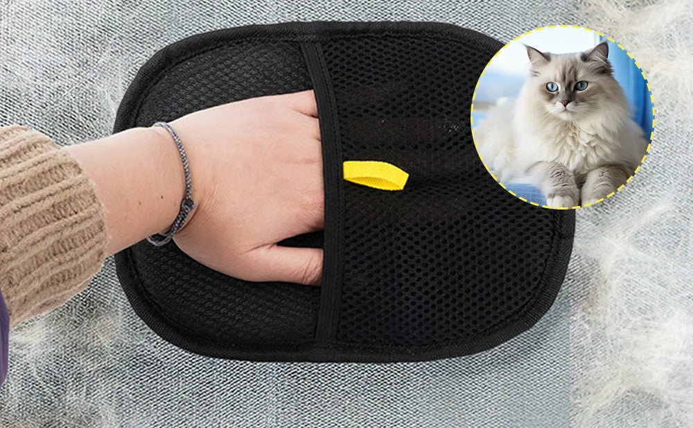 FellBuddy - Der smarte Handschuh